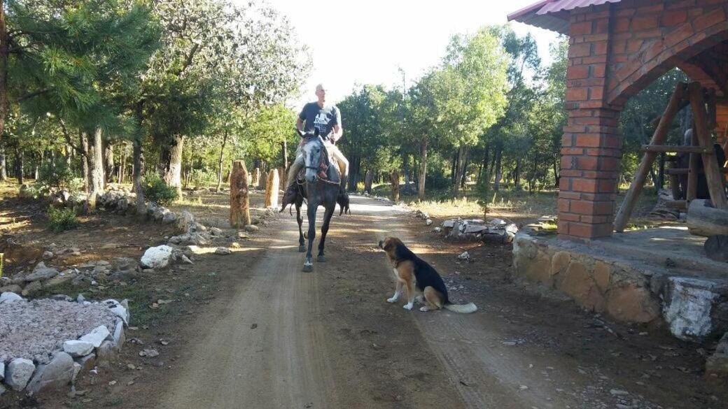 Rancho Cabanas San Isidro Cerocahuí Kültér fotó